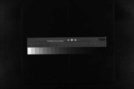 浙江王氏族谱-蒲岐王氏宗谱 [5卷].pdf电子版