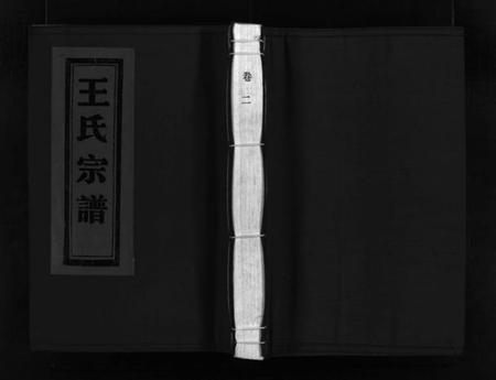 浙江王氏族谱-蒲岐王氏宗谱 [5卷].pdf电子版插图1