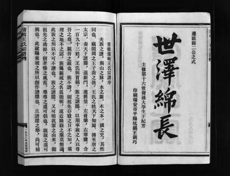 浙江王氏族谱-蒲岐王氏宗谱 [5卷].pdf电子版插图3