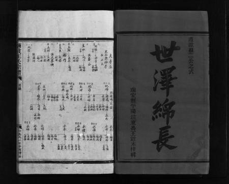 浙江王氏族谱-蒲岐王氏宗谱 [不分卷].pdf电子版插图2