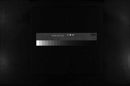 浙江臧氏族谱-蒲岐臧氏宗谱 [4卷].pdf电子版