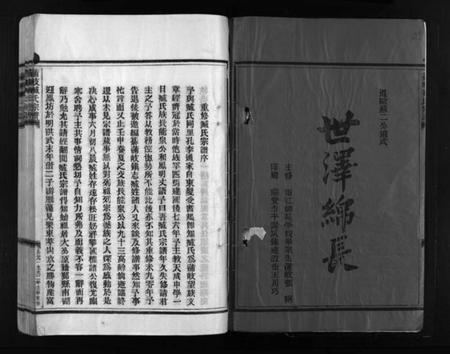 浙江臧氏族谱-蒲岐臧氏宗谱 [4卷].pdf电子版插图3