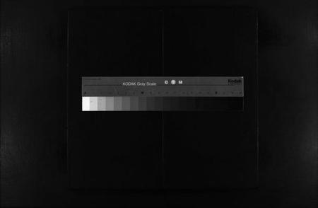 浙江夏氏族谱-蒲川夏氏宗谱 [不分卷].pdf电子版