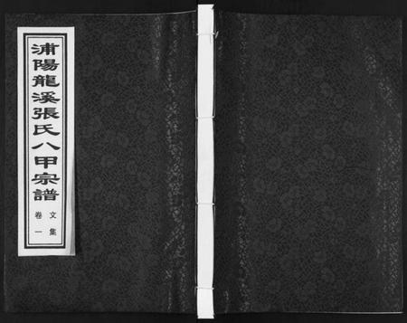 浙江张氏族谱-蒲阳龙溪张氏八甲宗谱[25卷].pdf电子版