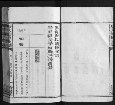 湖南唐氏族谱-唐氏续修支谱.pdf电子版插图3 湖南唐氏族谱-唐氏续修支谱.pdf电子版插图3