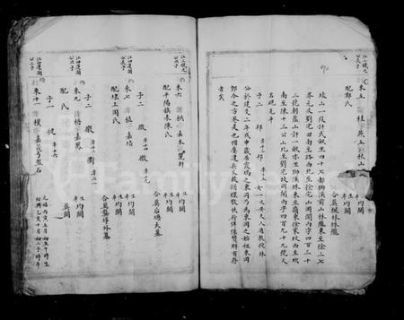 浙江李氏族谱-苍坡方巷李氏宗谱.pdf电子版插图5 浙江李氏族谱-苍坡方巷李氏宗谱.pdf电子版插图5