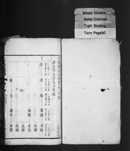 中国蒋氏族谱-十乔蒋氏宗谱.pdf电子版插图1