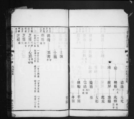 中国蒋氏族谱-十乔蒋氏宗谱.pdf电子版插图5
