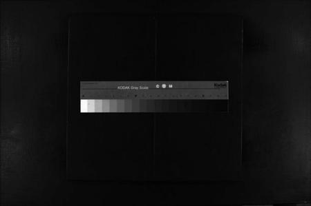 浙江蔡氏族谱-蔡氏宗谱 [2卷].pdf电子版