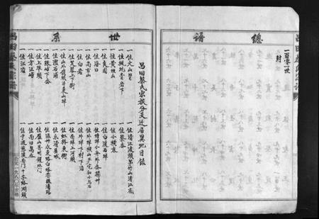 浙江蔡氏族谱-蔡氏宗谱 [不分卷].pdf电子版插图5