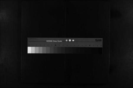 浙江卢氏族谱-蒋塔卢氏宗谱 [2卷].pdf电子版