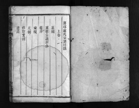 浙江卢氏族谱-蒋塔卢氏宗谱 [3卷].pdf电子版插图2