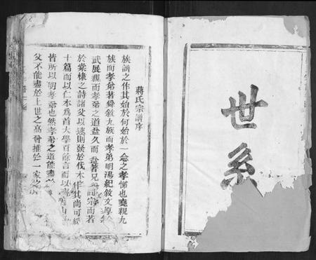 浙江蒋氏族谱-蒋氏宗谱[不分卷].pdf电子版插图1
