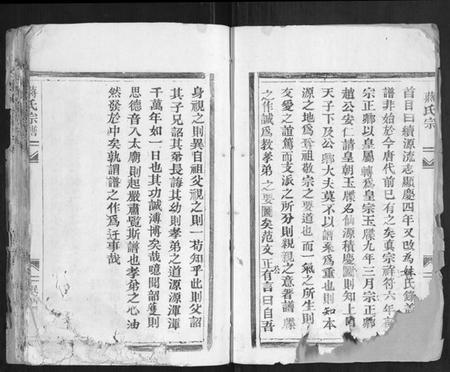 浙江蒋氏族谱-蒋氏宗谱[不分卷].pdf电子版插图2