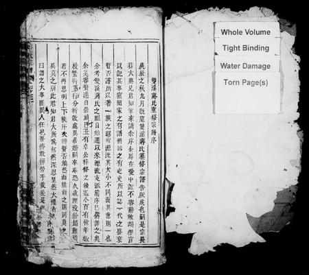 浙江蒋氏族谱-蒋氏宗谱[残卷].pdf电子版插图2