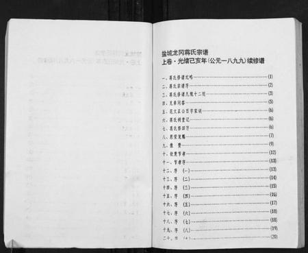 江苏蒋氏族谱-盐城龙冈蒋氏宗谱.pdf电子版插图2