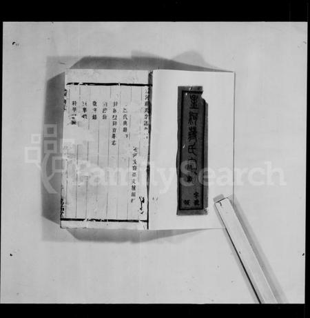 江苏蒋氏族谱-孟河蒋氏宗谱 [残卷].pdf电子版插图2