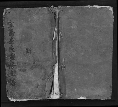 江西李氏族谱-宜阳李氏重修支谱[4卷首1卷末1卷].pdf电子版