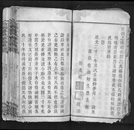 江西李氏族谱-宜阳李氏重修支谱[4卷首1卷末1卷].pdf电子版插图3