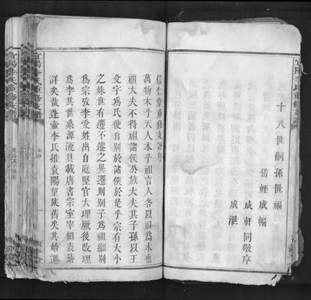 江西李氏族谱-宜阳李氏重修支谱[4卷首1卷末1卷].pdf电子版插图5