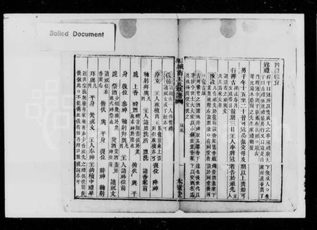 湖南王氏族谱-上湘城南王氏族谱 [残卷].pdf电子版插图2