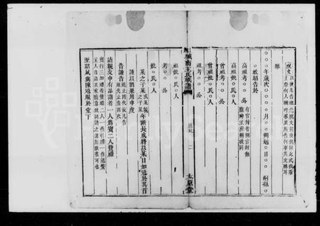 湖南王氏族谱-上湘城南王氏族谱 [残卷].pdf电子版插图3