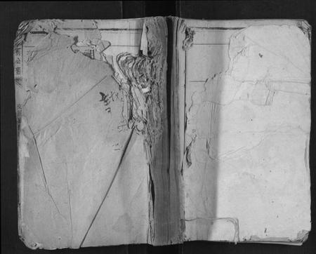 江西李氏族谱-李宝公裔族谱.pdf电子版插图 江西李氏族谱-李宝公裔族谱.pdf电子版插图