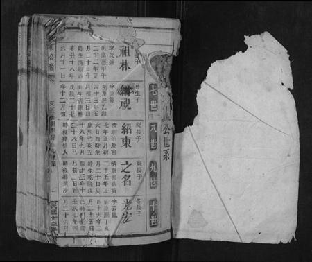 江西李氏族谱-李宝公裔族谱.pdf电子版插图1 江西李氏族谱-李宝公裔族谱.pdf电子版插图1