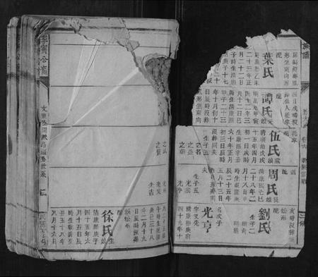 江西李氏族谱-李宝公裔族谱.pdf电子版插图2 江西李氏族谱-李宝公裔族谱.pdf电子版插图2