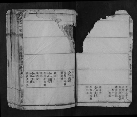 江西李氏族谱-李宝公裔族谱.pdf电子版插图4 江西李氏族谱-李宝公裔族谱.pdf电子版插图4