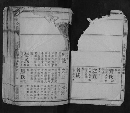 江西李氏族谱-李宝公裔族谱.pdf电子版插图5 江西李氏族谱-李宝公裔族谱.pdf电子版插图5