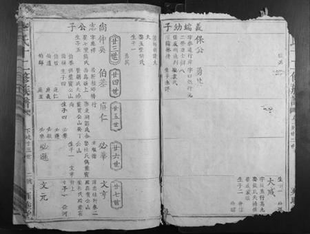 江西李氏族谱-李氏十二修族谱.pdf电子版插图2 江西李氏族谱-李氏十二修族谱.pdf电子版插图2