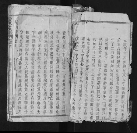 江西李氏族谱-李氏宗谱.pdf电子版插图2