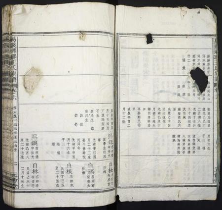 湖南王氏族谱-易溪琅琊王氏家谱.pdf电子版插图2 湖南王氏族谱-易溪琅琊王氏家谱.pdf电子版插图2