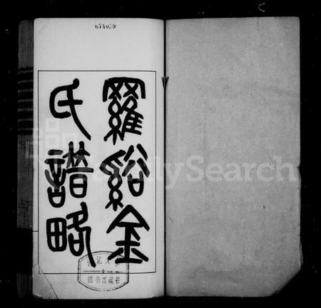江苏金氏族谱-罗溪金氏谱略.pdf电子版插图