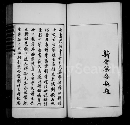 江苏金氏族谱-罗溪金氏谱略.pdf电子版插图2