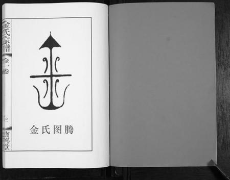 江苏金氏族谱-金氏宗谱.pdf电子版插图2