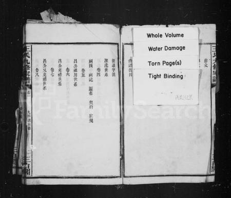 湖南王氏族谱-王氏九修家谱.pdf电子版插图4 湖南王氏族谱-王氏九修家谱.pdf电子版插图4