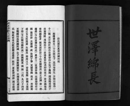 浙江薛氏族谱-薛氏宗谱 [4卷].pdf电子版插图3