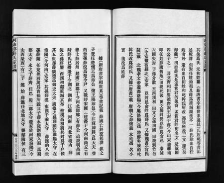 浙江薛氏族谱-薛氏宗谱 [4卷].pdf电子版插图4