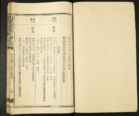 江西李氏族谱-石城丹溪李氏十一修族谱.pdf电子版插图2