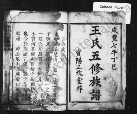 湖南王氏族谱-王氏五修族谱 [18卷].pdf电子版插图2