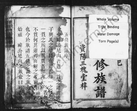 湖南王氏族谱-王氏五修族谱 [18卷].pdf电子版插图3