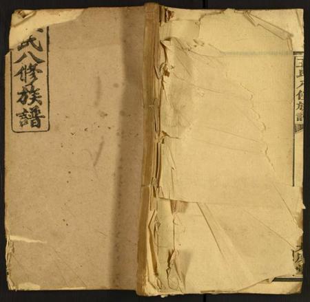 湖南王氏族谱-王氏八修族谱.pdf电子版插图