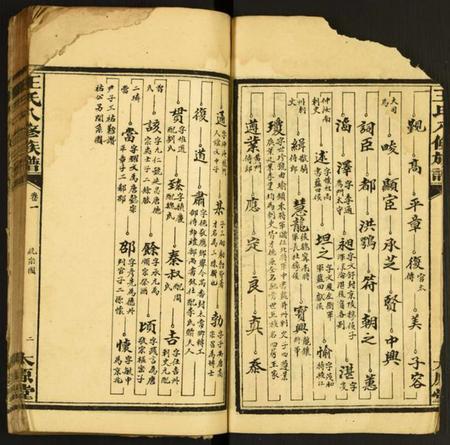 湖南王氏族谱-王氏八修族谱.pdf电子版插图2
