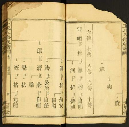 湖南王氏族谱-王氏八修族谱.pdf电子版插图4