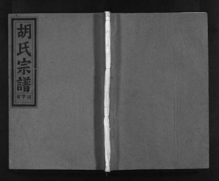 浙江胡氏族谱-兰江胡氏宗谱 [4卷].pdf电子版插图1