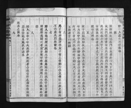 浙江胡氏族谱-兰江胡氏宗谱 [4卷].pdf电子版插图4