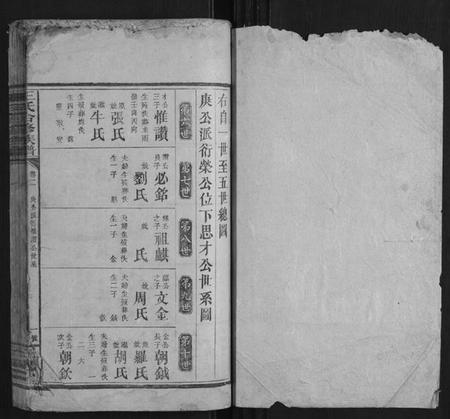 湖南王氏族谱-王氏合修族谱.pdf电子版插图1