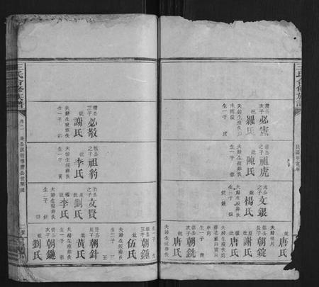 湖南王氏族谱-王氏合修族谱.pdf电子版插图2